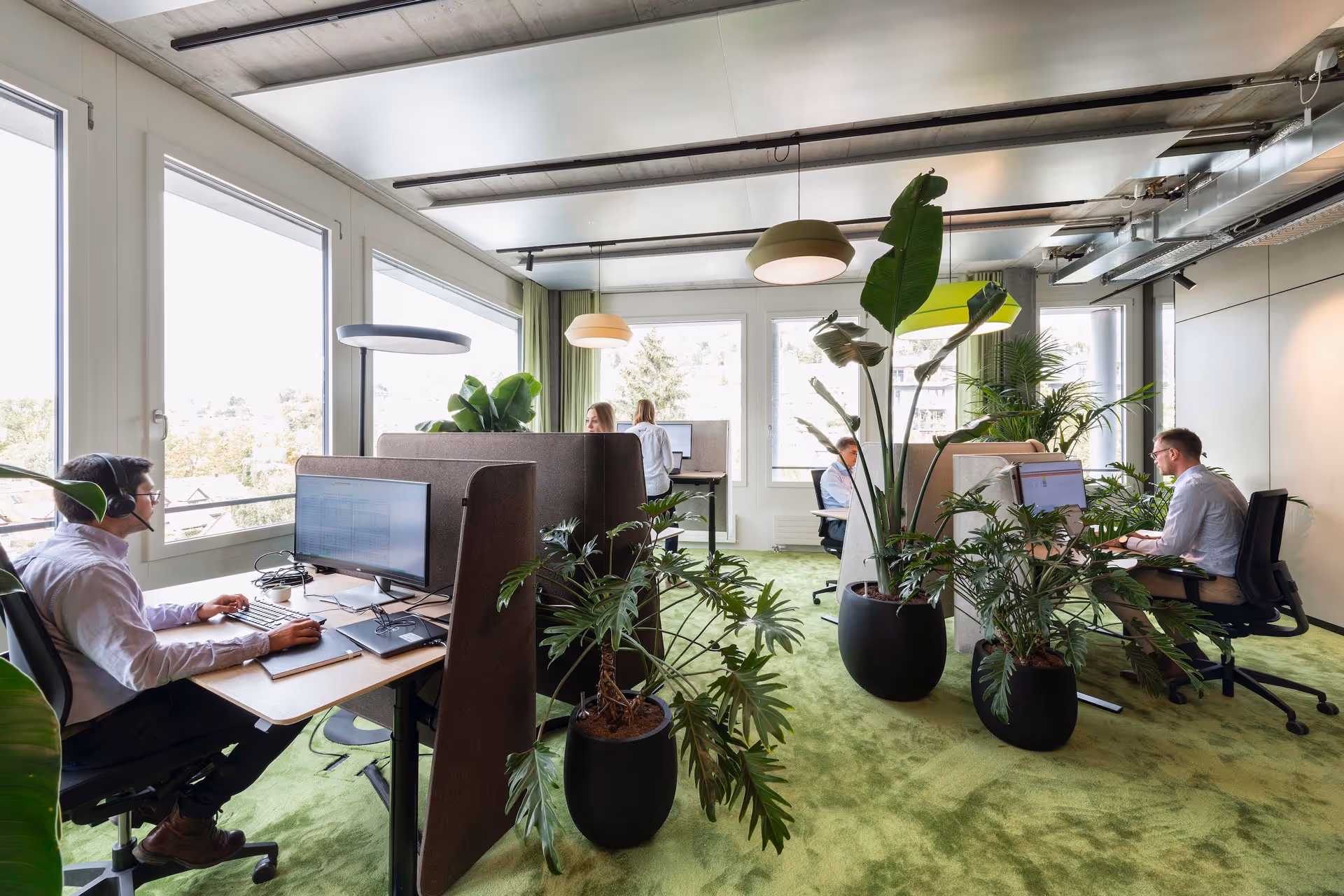 Begrünte Arbeitsplätze mit Philodendron und weiteren Zimmerpflanzen