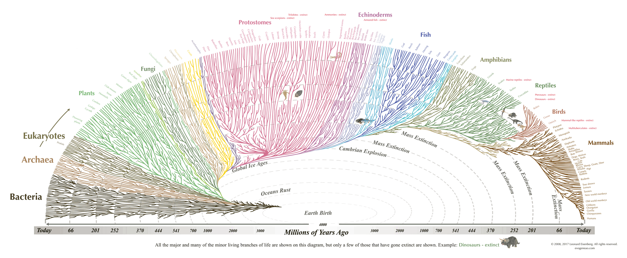 Timeline diagram with non-linear scale showing evolution from origin to land animals, spanning billions of years