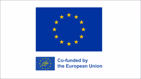 EU Logo