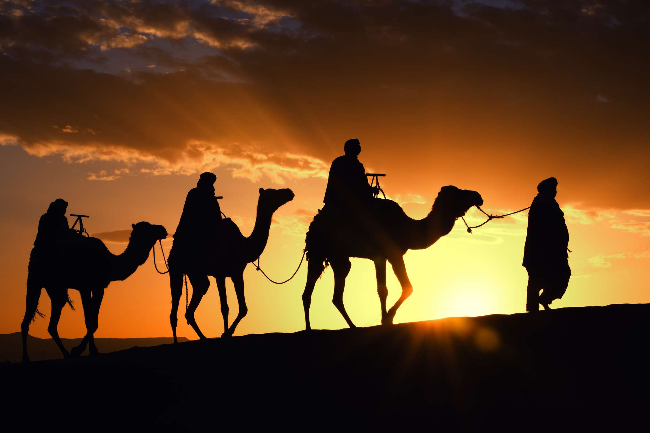 Merzouga sunset camel ride