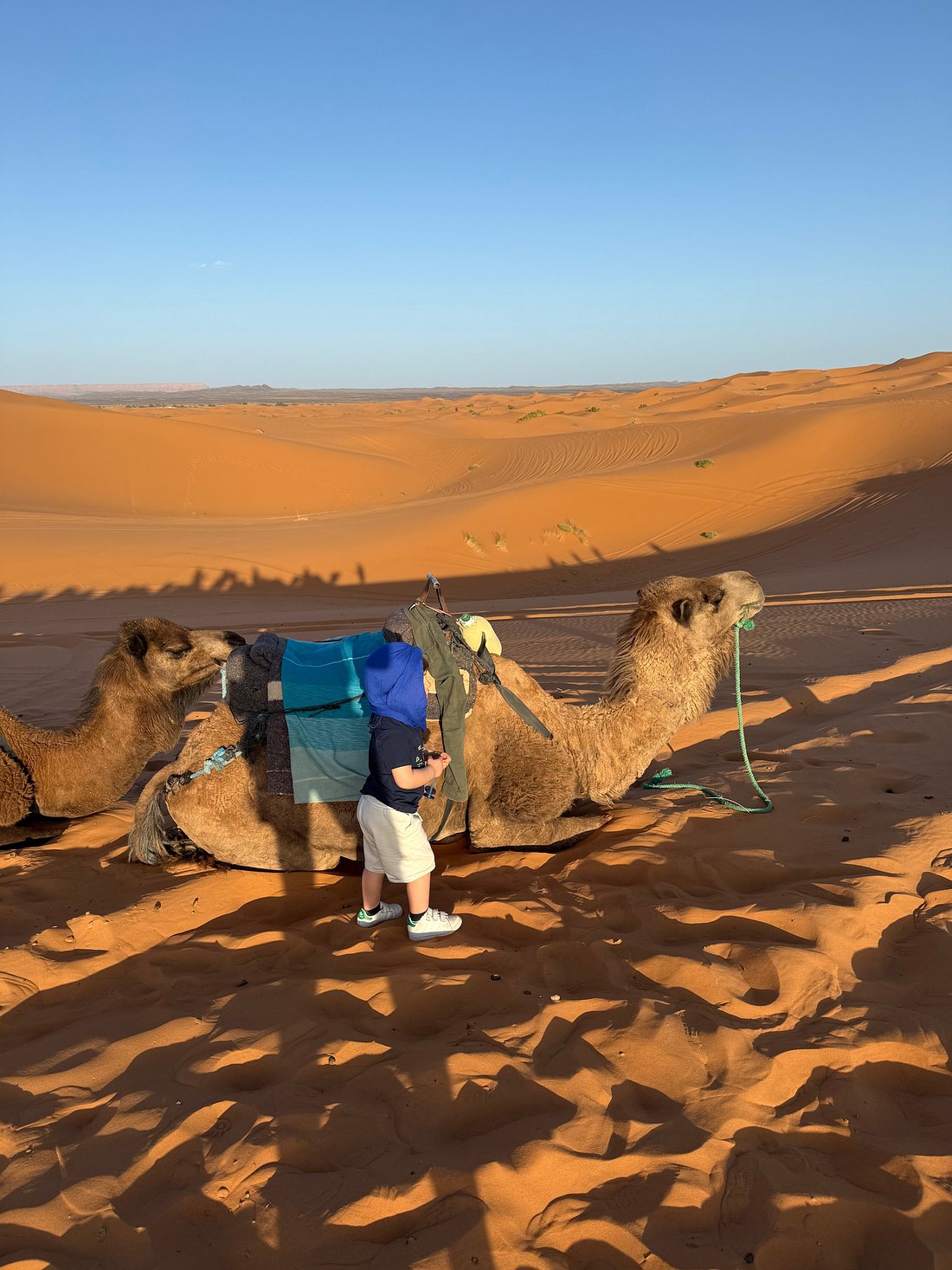 image of community gaming event (for a gaming and entertainment)