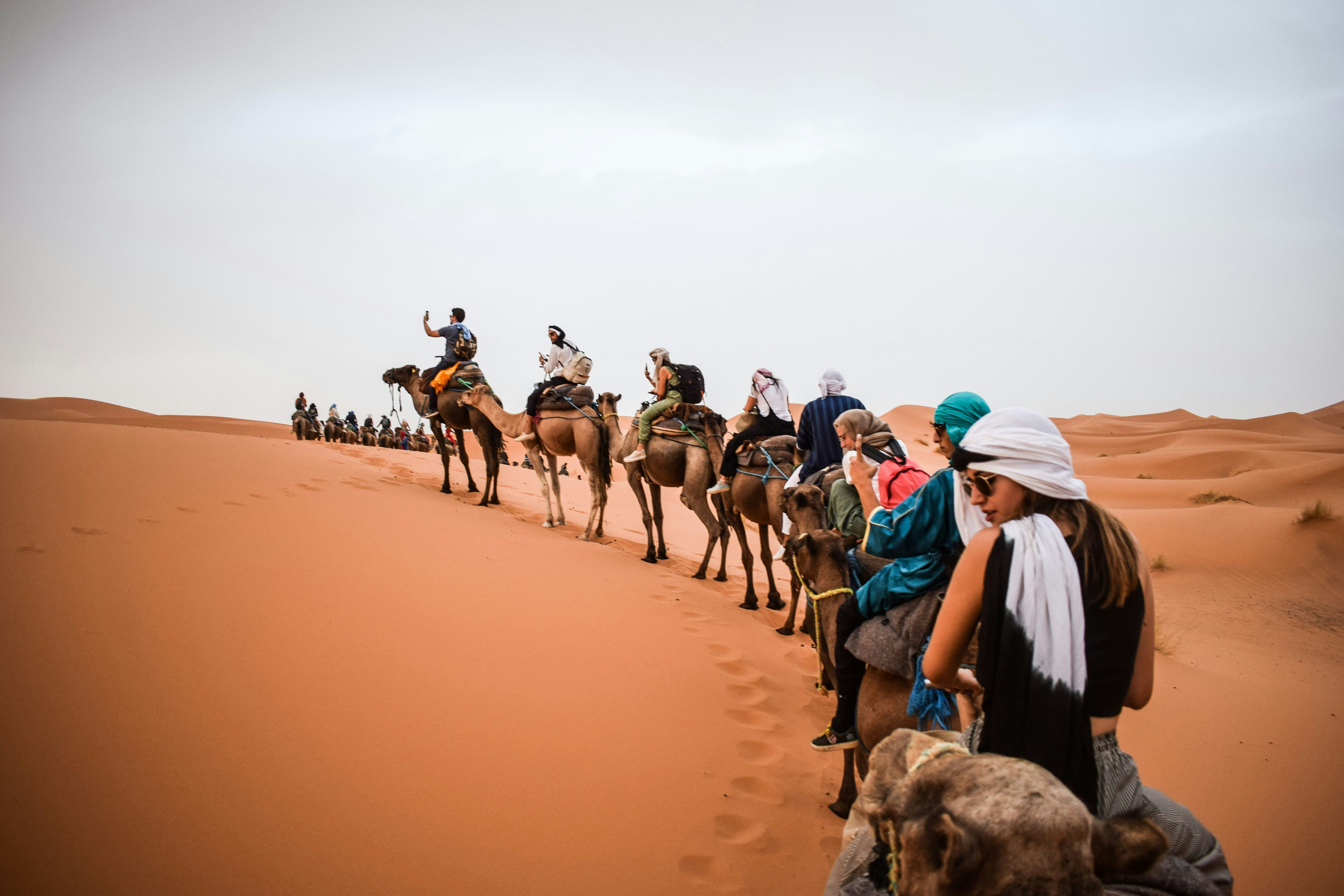 Desert camel trekking