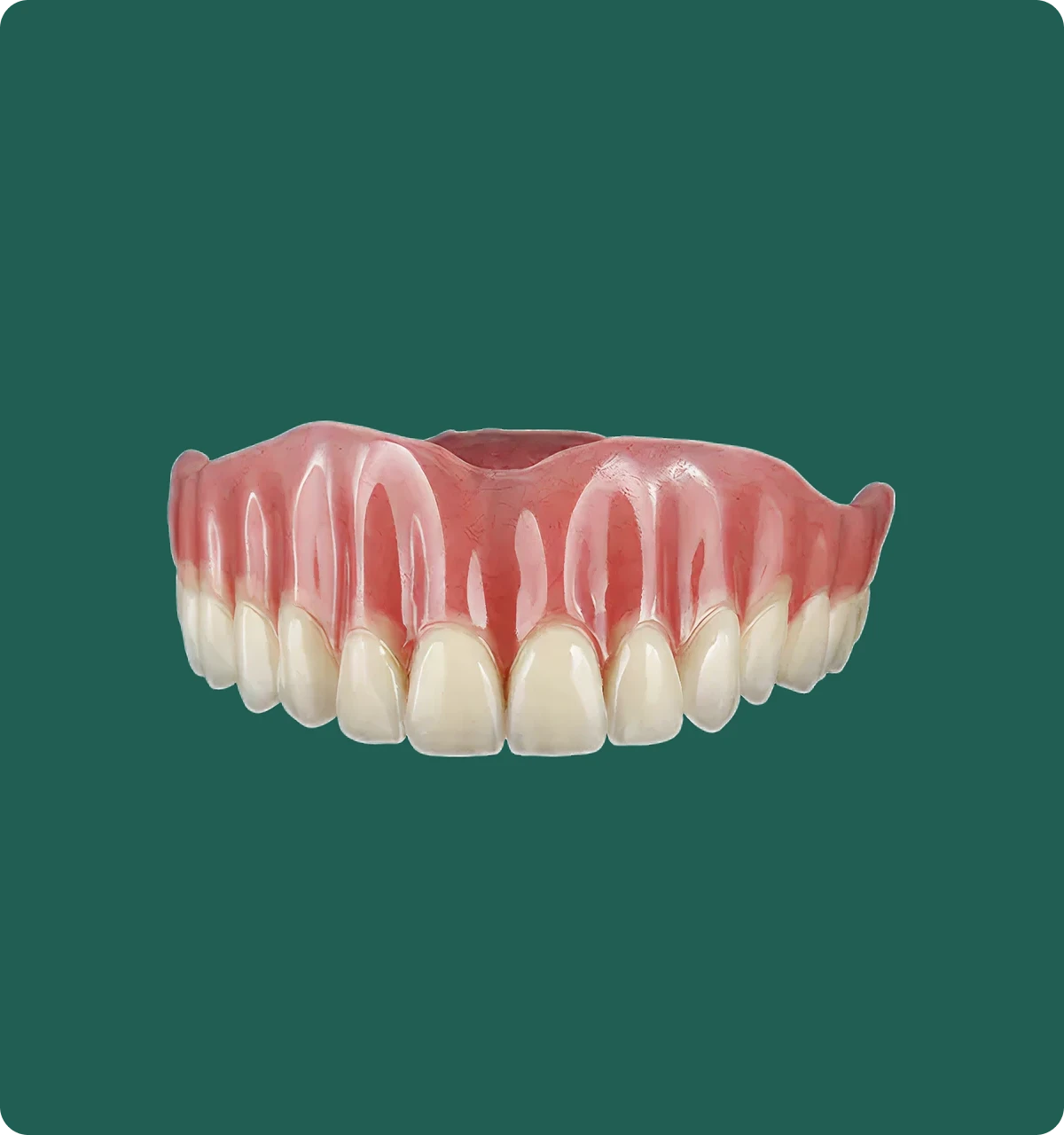 Close-up of an acrylic denture on a dental model, showing the natural shading of the acrylic gum base.