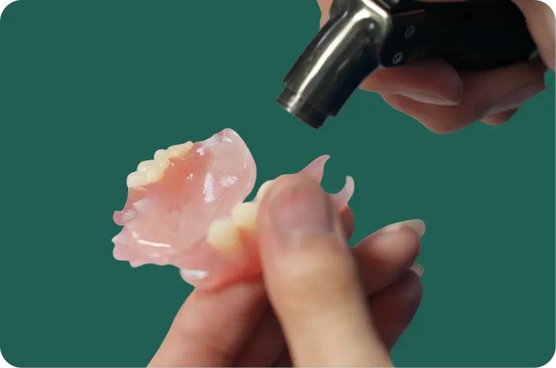 Single tooth denture shown fitted between natural teeth to fill a gap