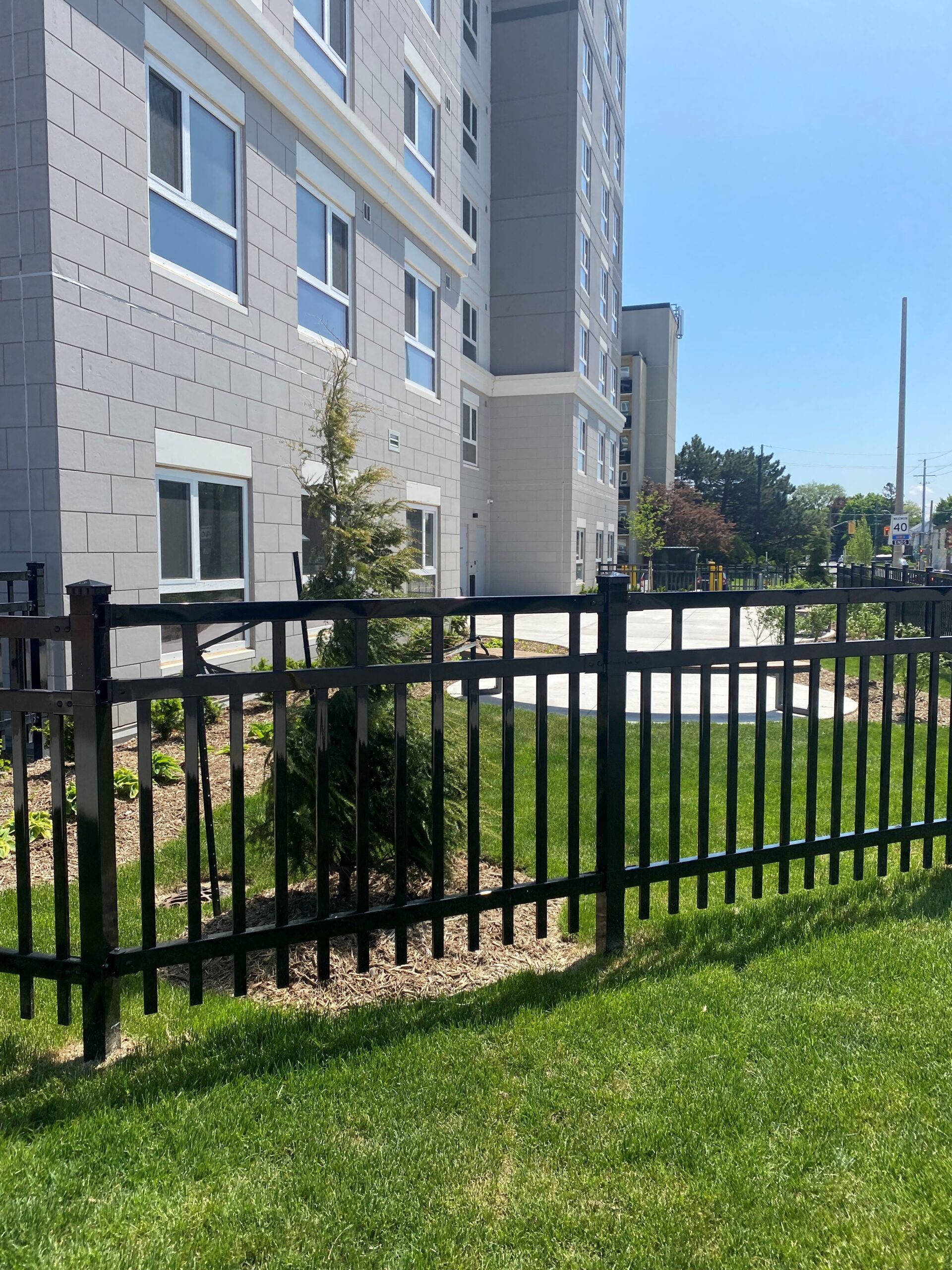 Landscaped green space beside the new building at 8 Roxanne Drive, with fresh grass, young trees, and a black metal fence in the foreground.