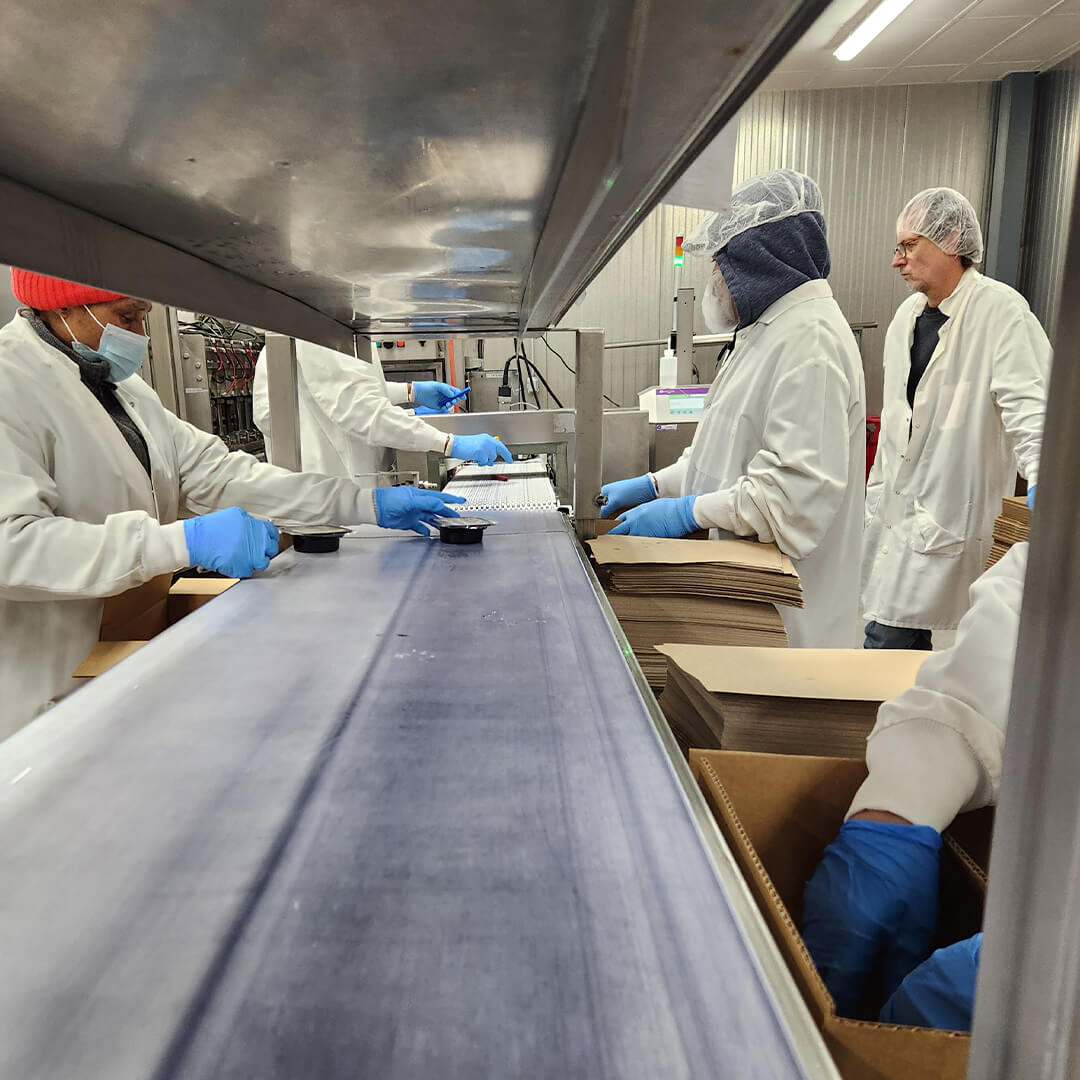 Workers working in a line in a factory