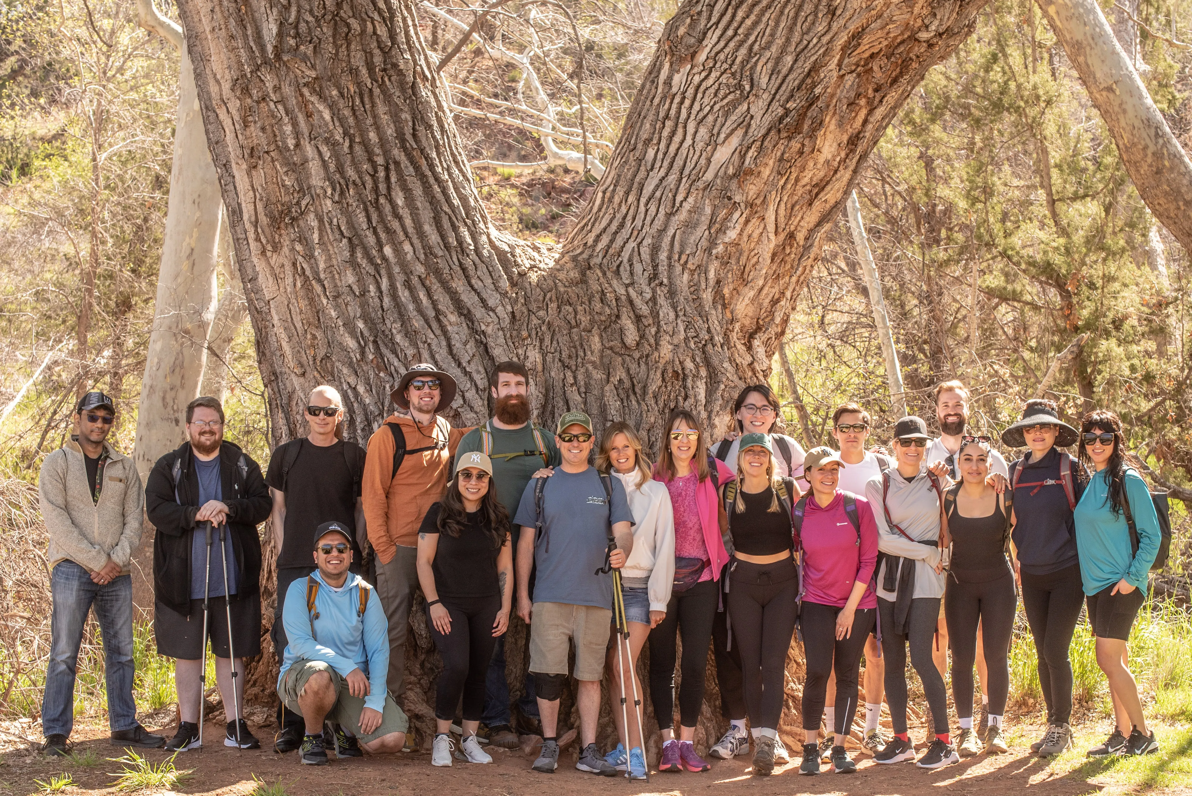 Group of sixteen people from the DailyOM team posing in front of a large tree trunk in a sunlit forest.