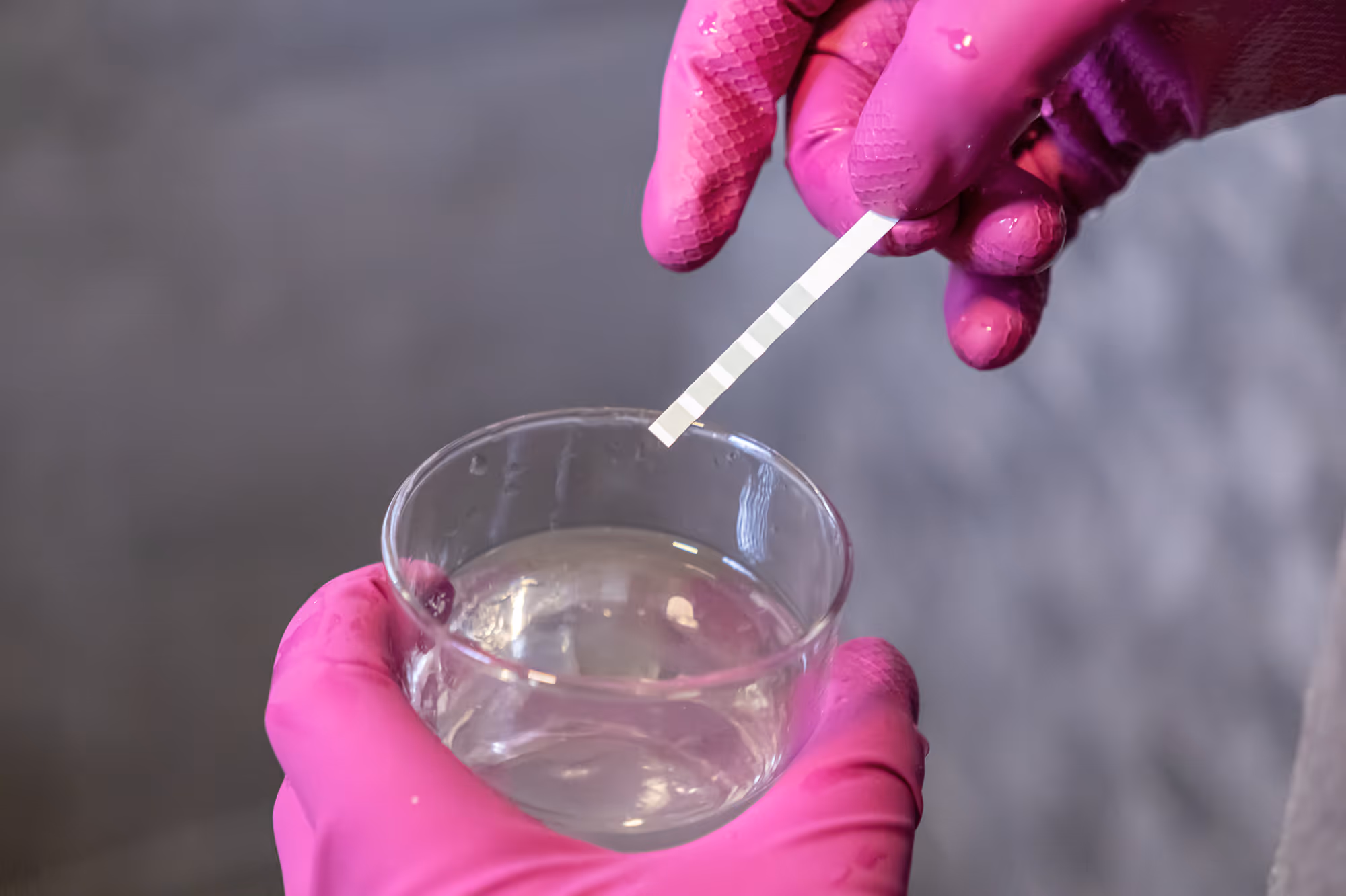 Person wearing pink gloves dipping a test strip into a clear liquid in a glass container.