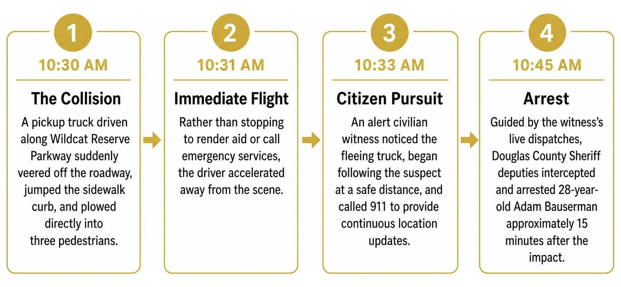 Sequence of events from the sidewalk crash to driver apprehension Sequence of events from the sidewalk crash to driver apprehension