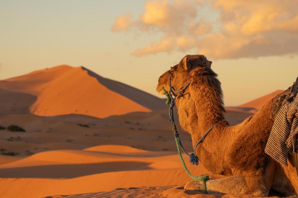 [background image] image of restaurant interior (for a mexican restaurant)