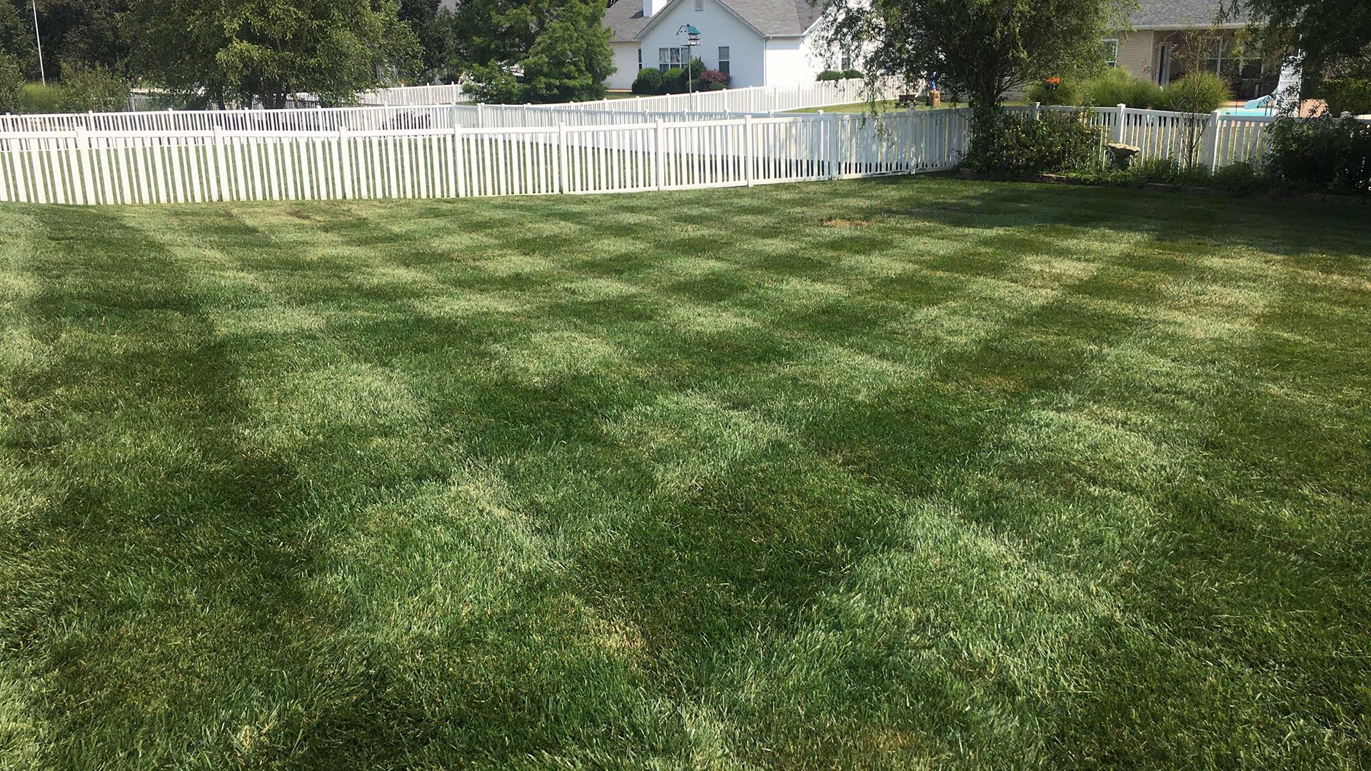 Lawn maintenance near me – professional mowing and trimming by Village Grass Lawn Care