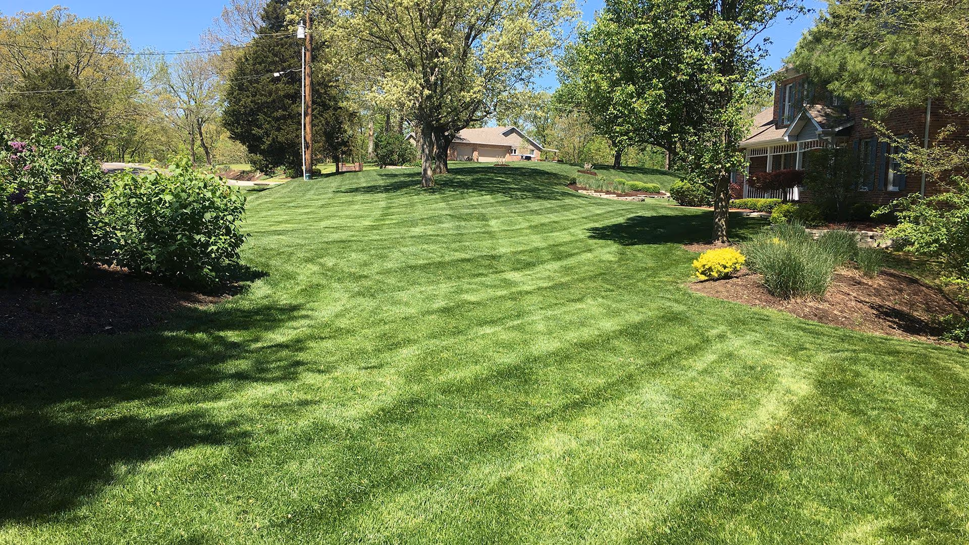 Lawn mowing near me – precision trimming and blowing for a clean finish