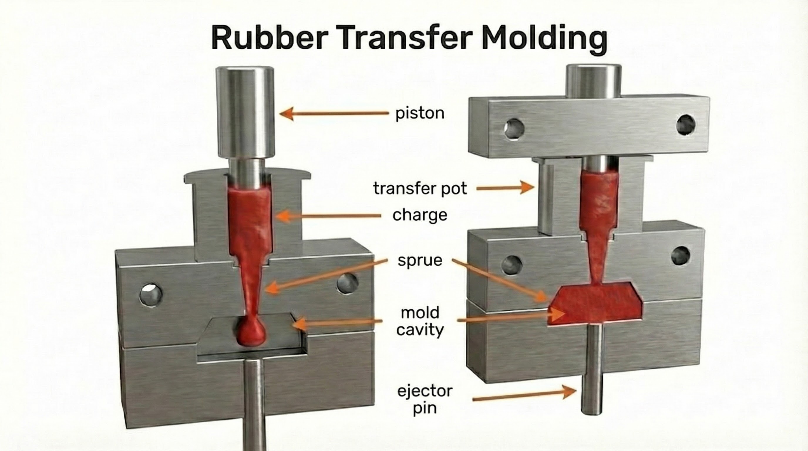 Technical diagram illustrating the rubber transfer molding process. The image details internal components (plunger, transfer pot, charge, sprue, mold cavity, and ejector pin) during the injection and molding phases.