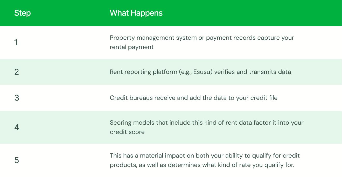 Infographic showing the five steps of what the rent reporting data flow generally looks like.