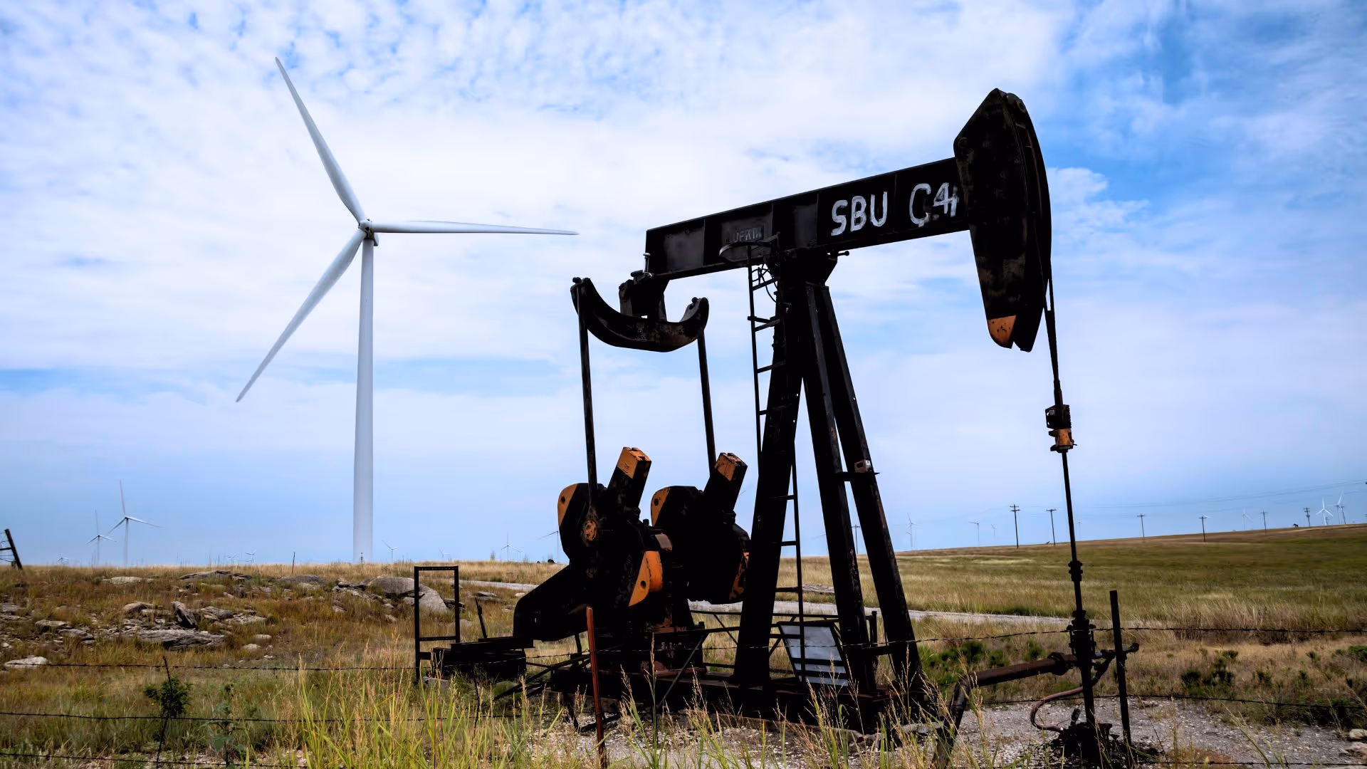 petroleo