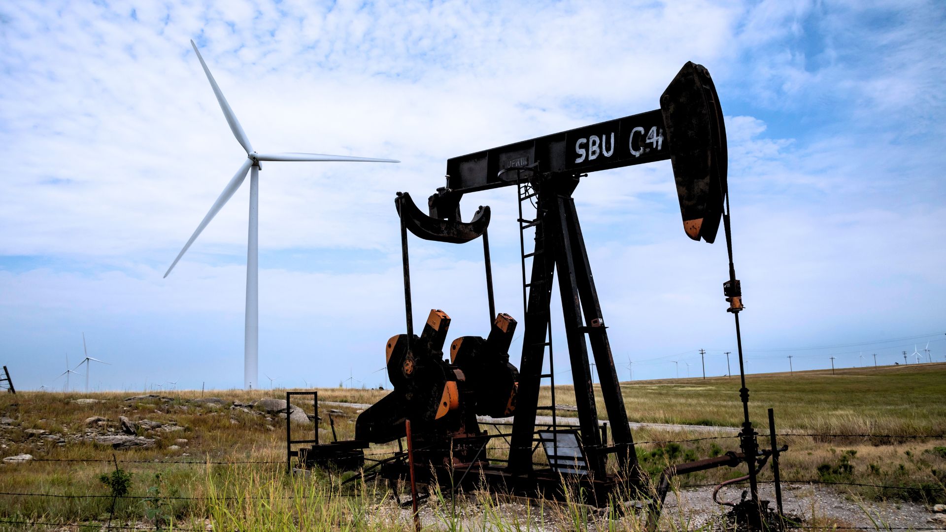 petroleo