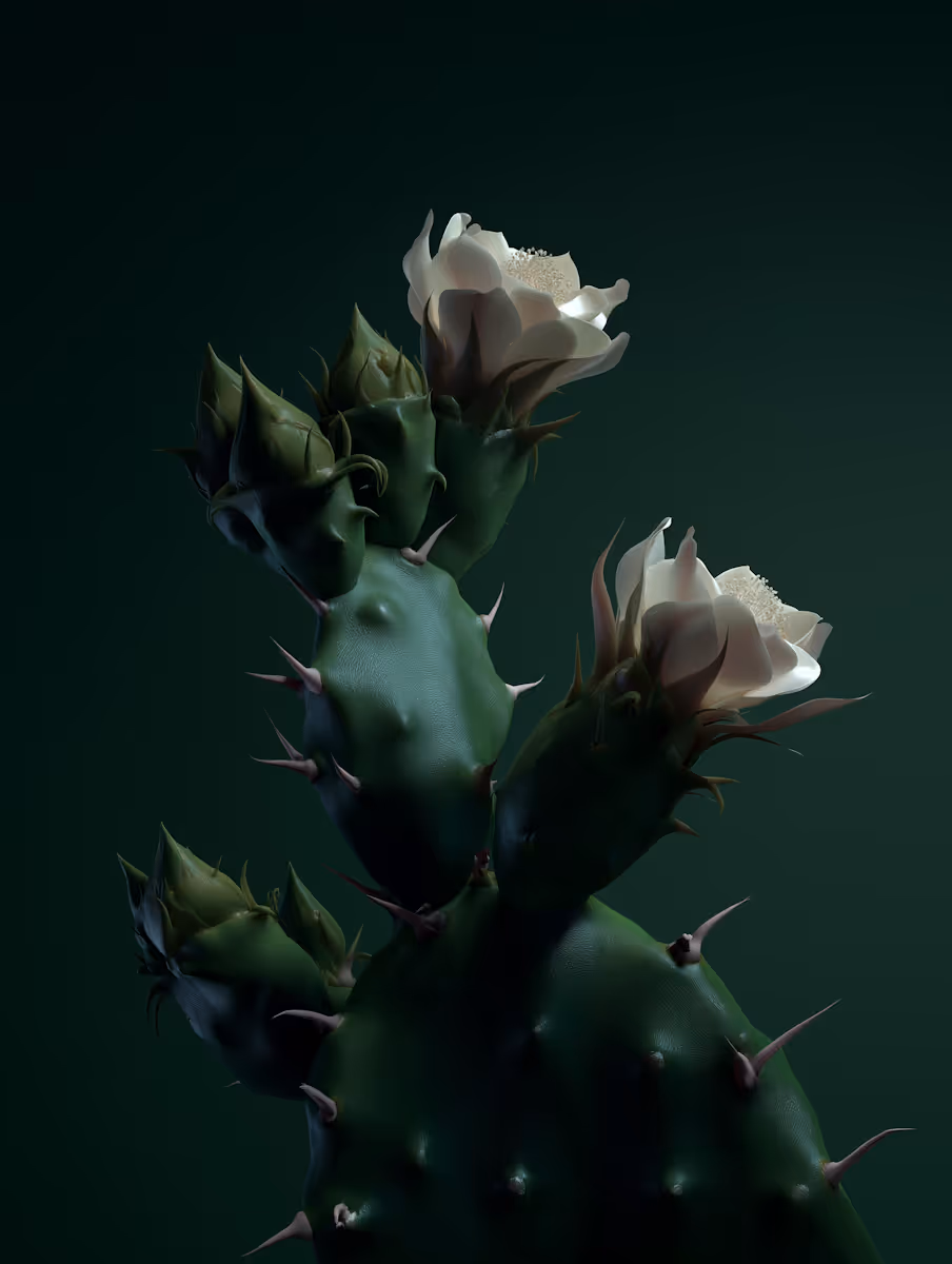 Close-up of a green cactus with white flowers blooming against a dark green background.