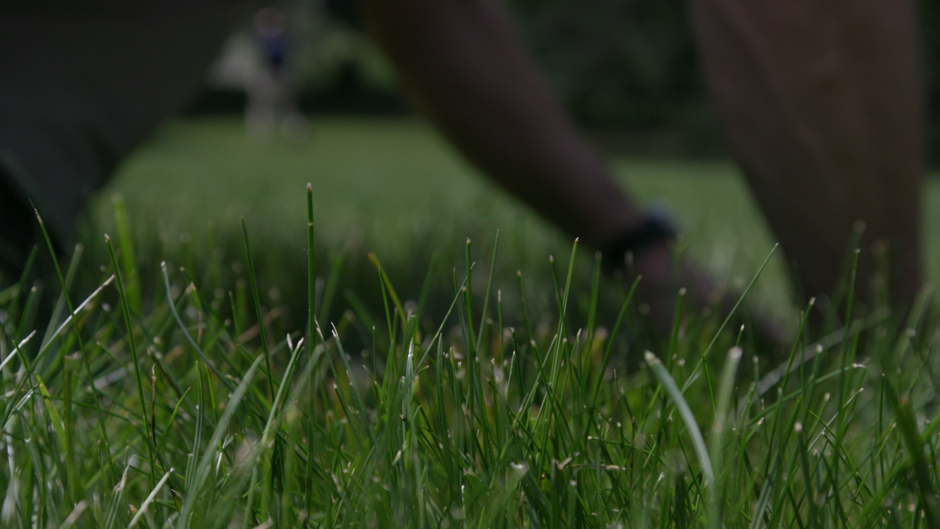 Wide view of a green golf course with rolling hills and a house surrounded by trees in the background.