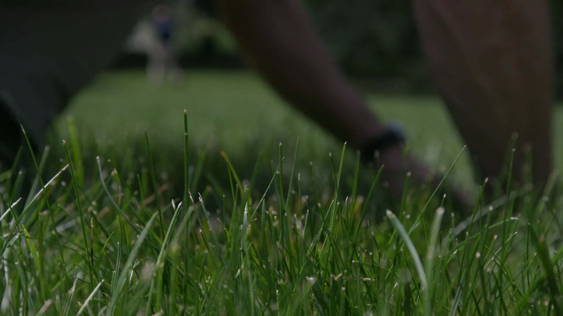 Wide view of a green golf course with rolling hills and a house surrounded by trees in the background.