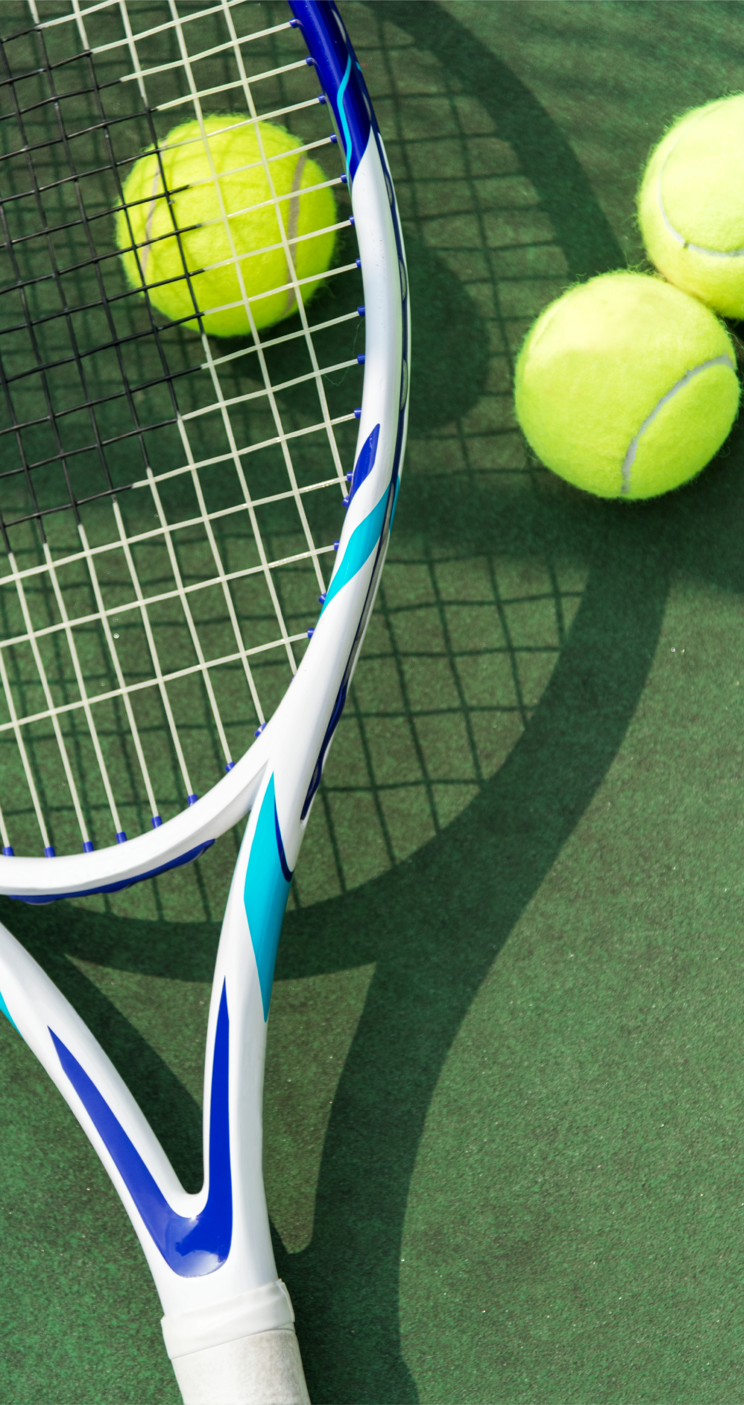 Canchas de raquetbol. Candé at Real del Mar