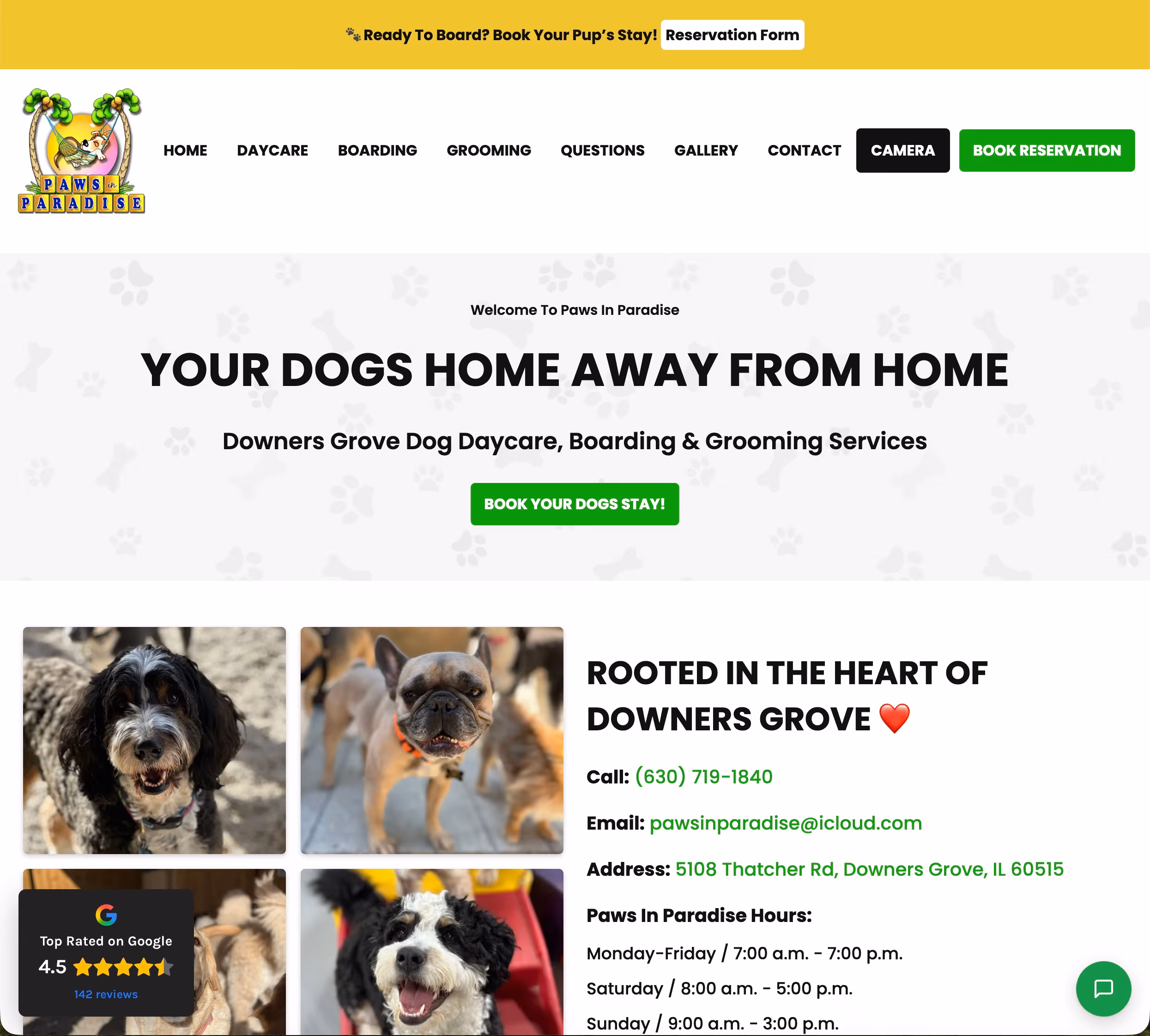 paws-in-paradise-website