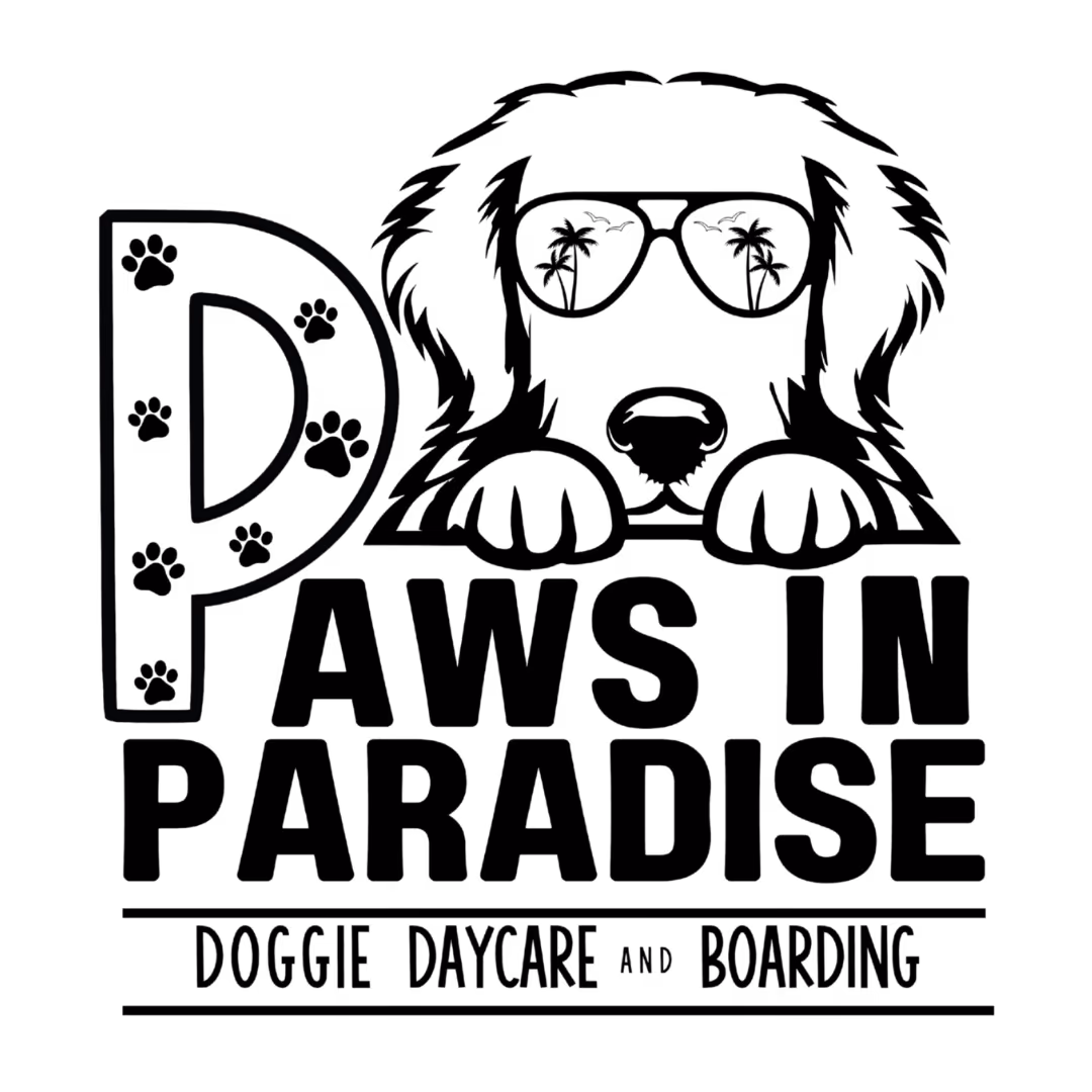 paws-in-paradise-designwons-client