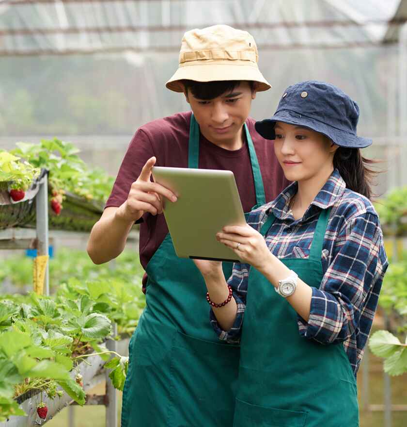 Service Card BG Image