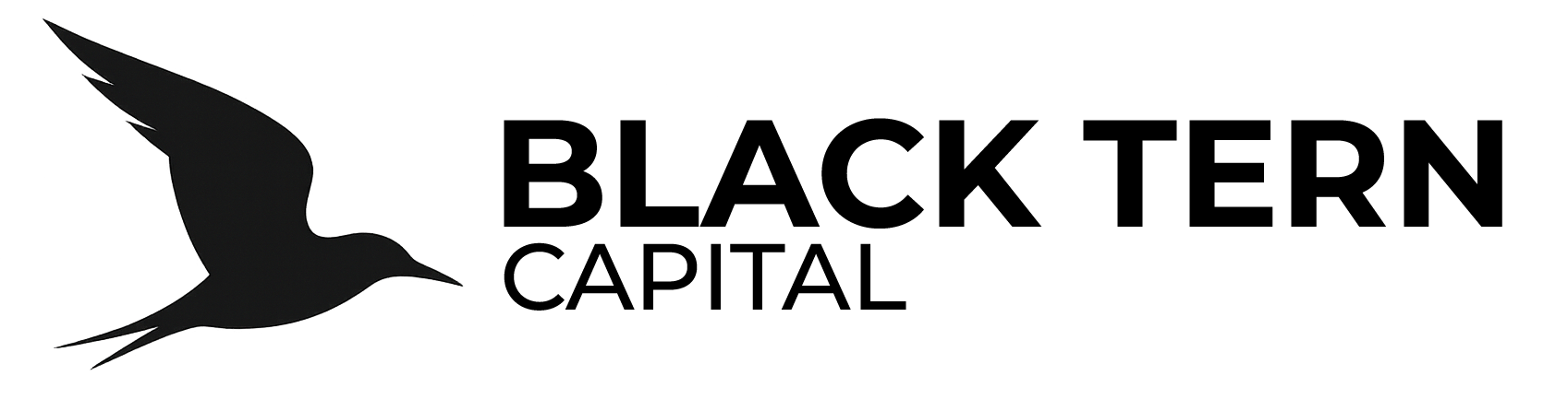 Black Tern Capital logo