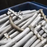 Clean heat-exchanger tubes after RS Bruce processing