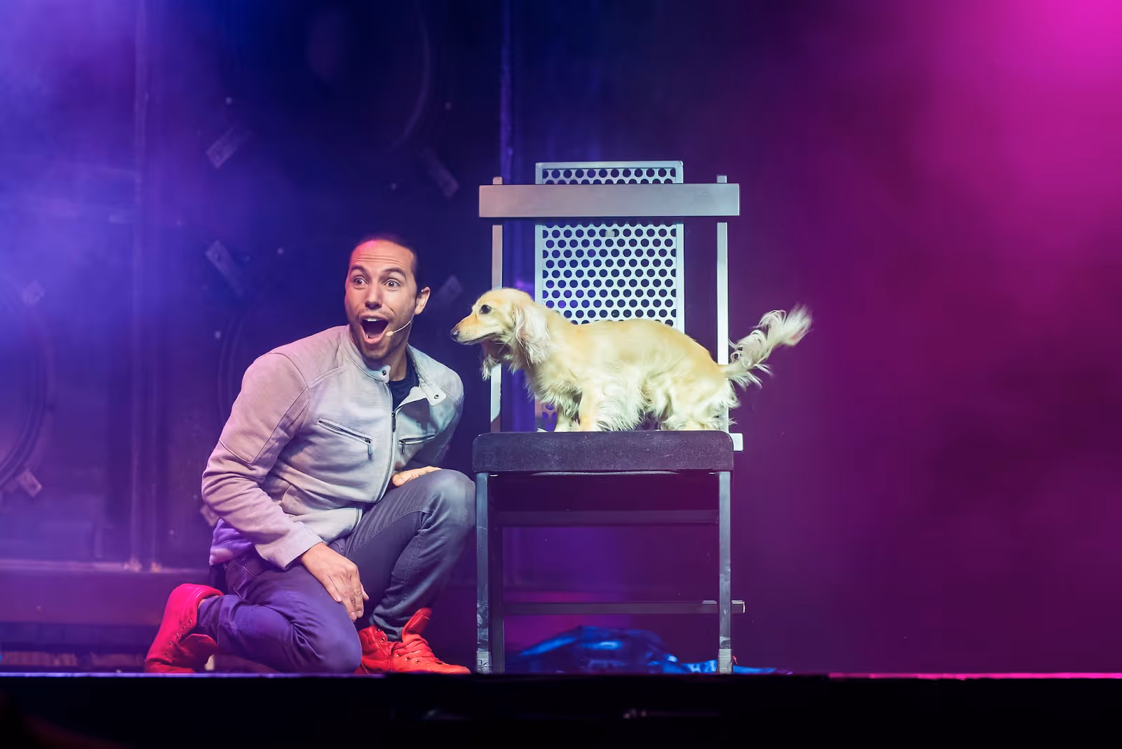 Magician Alex Ramon performing on stage with his dog under colorful stage lights.