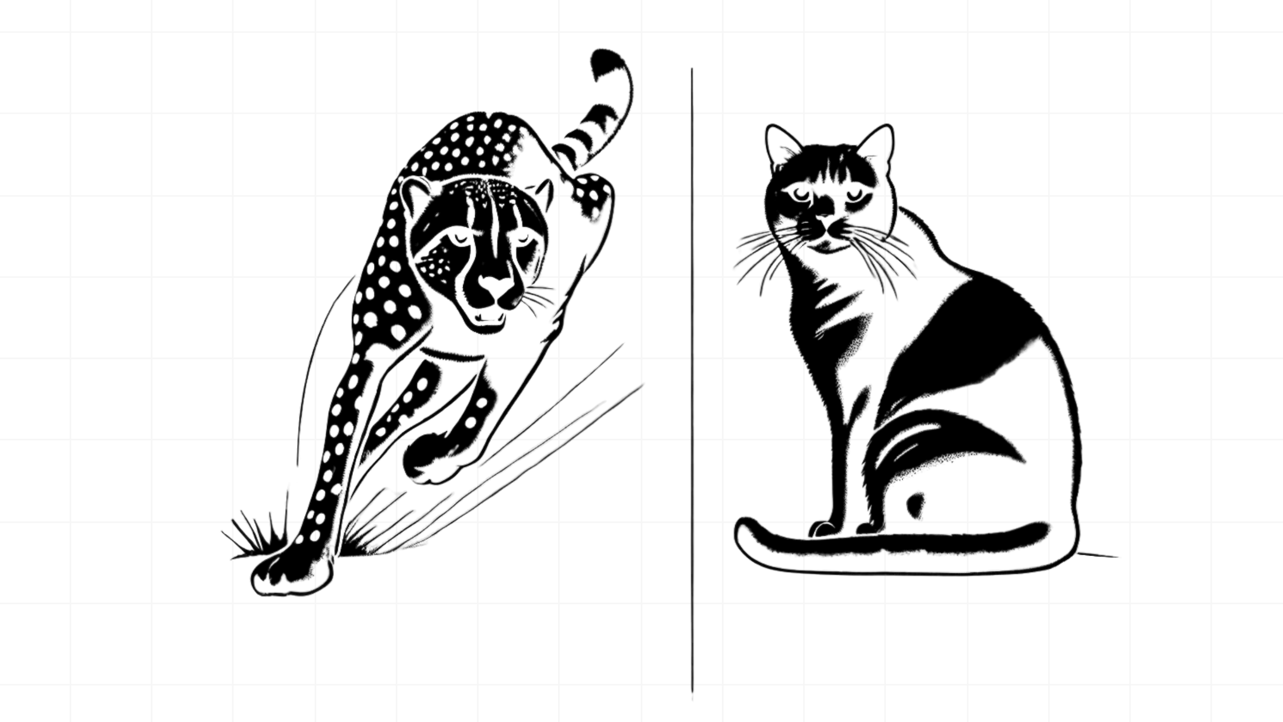 Black and white illustration of cheetah vs house cat