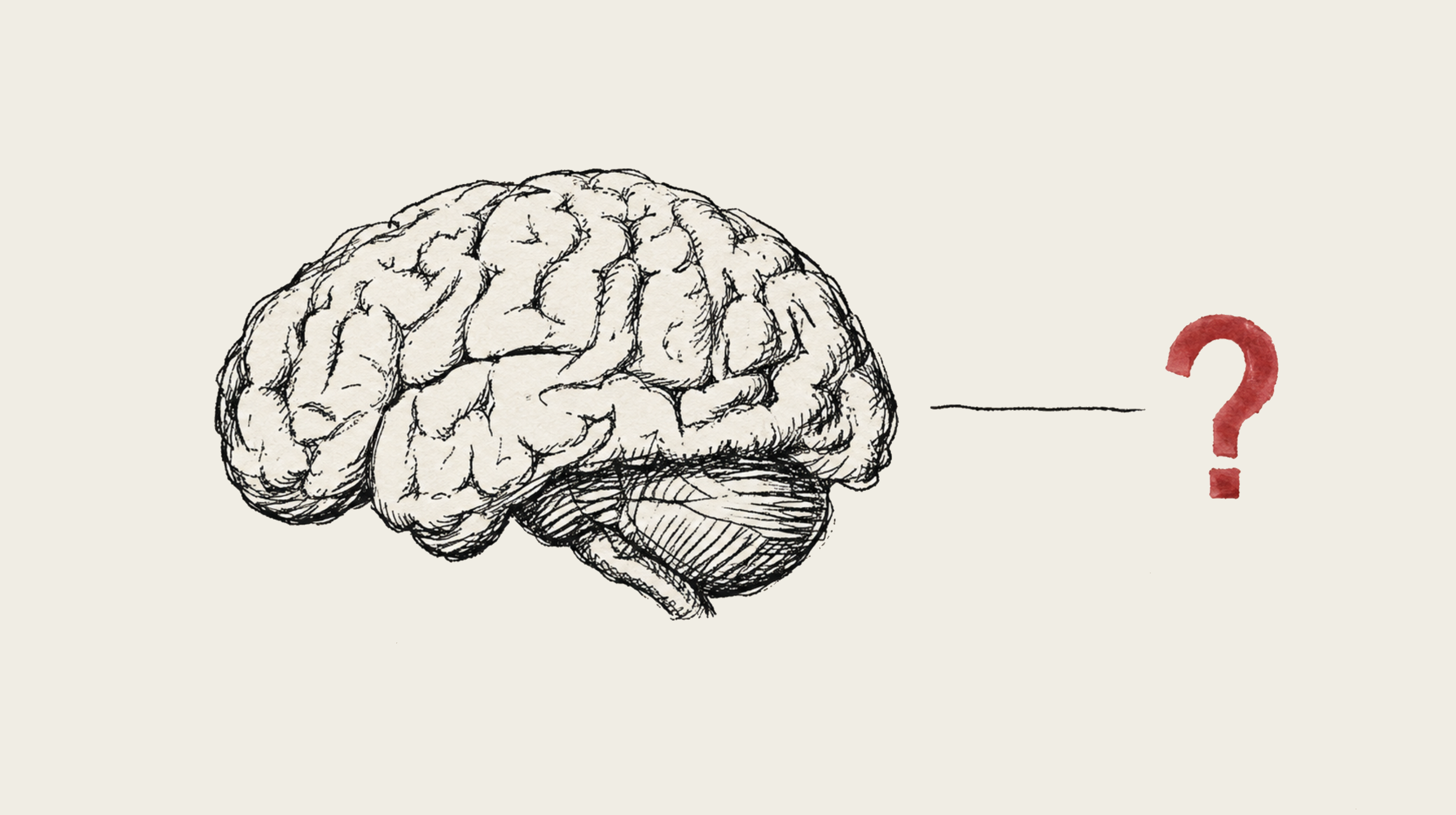 Drawing of a brain with a question mark beside it.