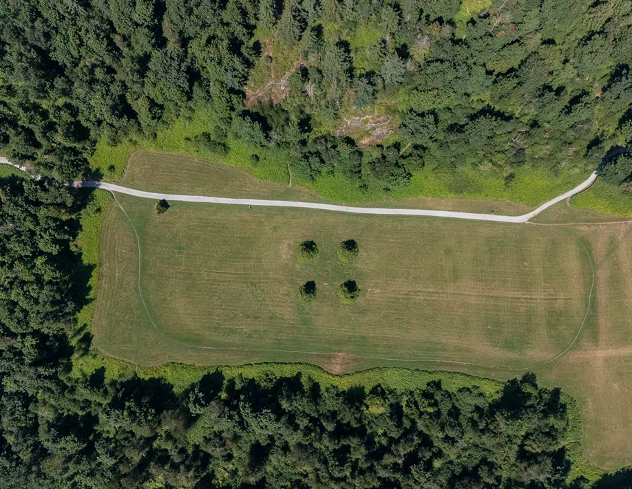An aerial view of a road in the middle of a field.