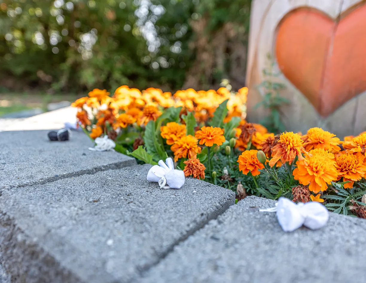 A bunch of flowers that are on the ground.