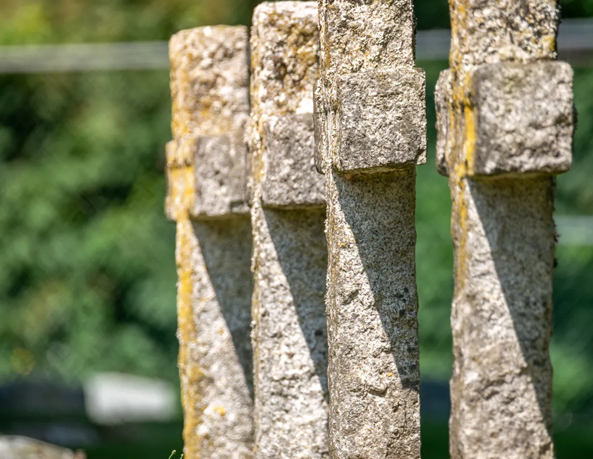 A bird perched on top of a stone pillar.