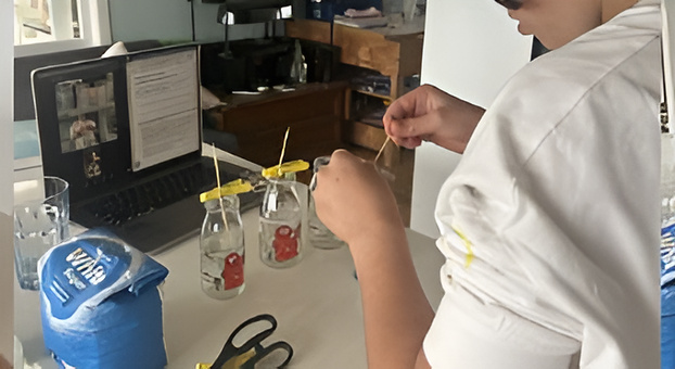 Student growing sugar crystals at home with his class live on the laptop beside him