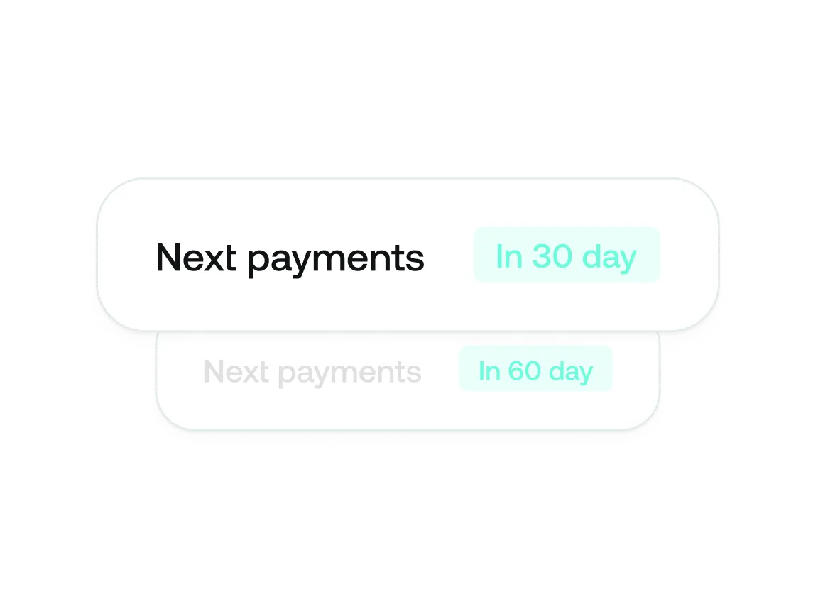 User interface buttons showing 'Next payments' with options 'In 30 day' and a grayed-out 'In 60 day'.