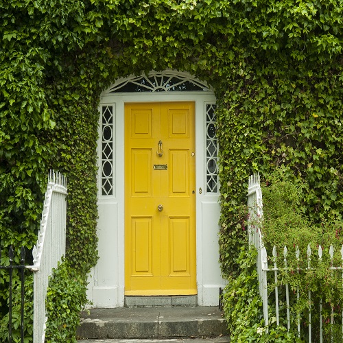 Yellow front door surrounded by green ivy
