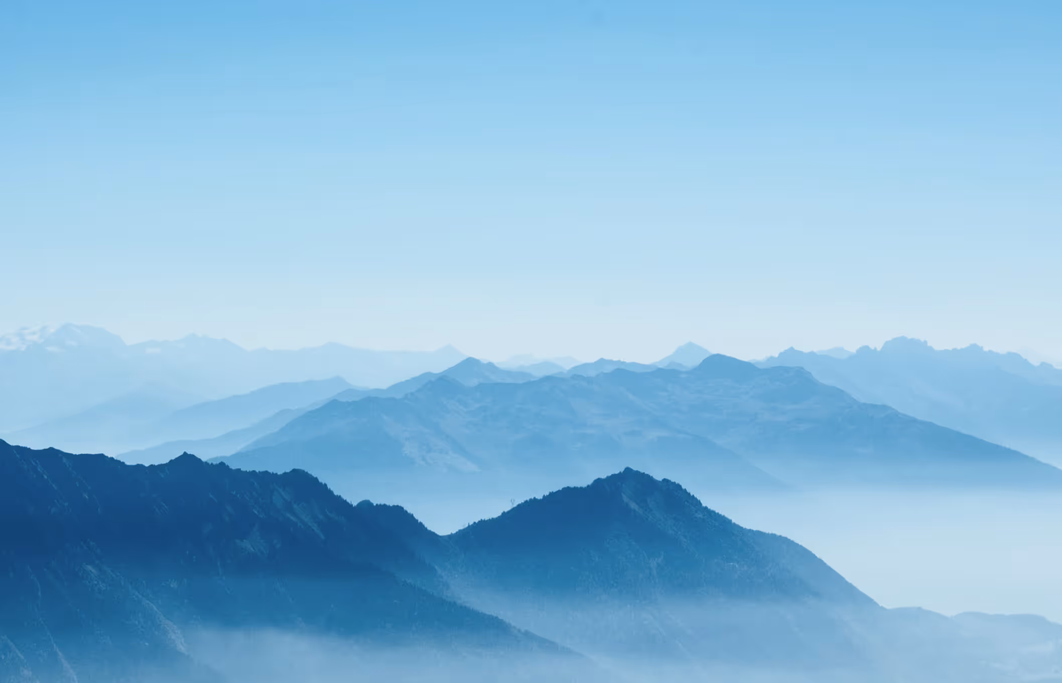 Ferghana Investment Partners - Team Image