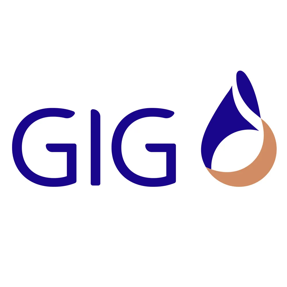 Logo showing stylized text 'GIG' with a blue and brown abstract design on white background.