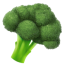 Un petit bouquet de brocoli vert frais.
