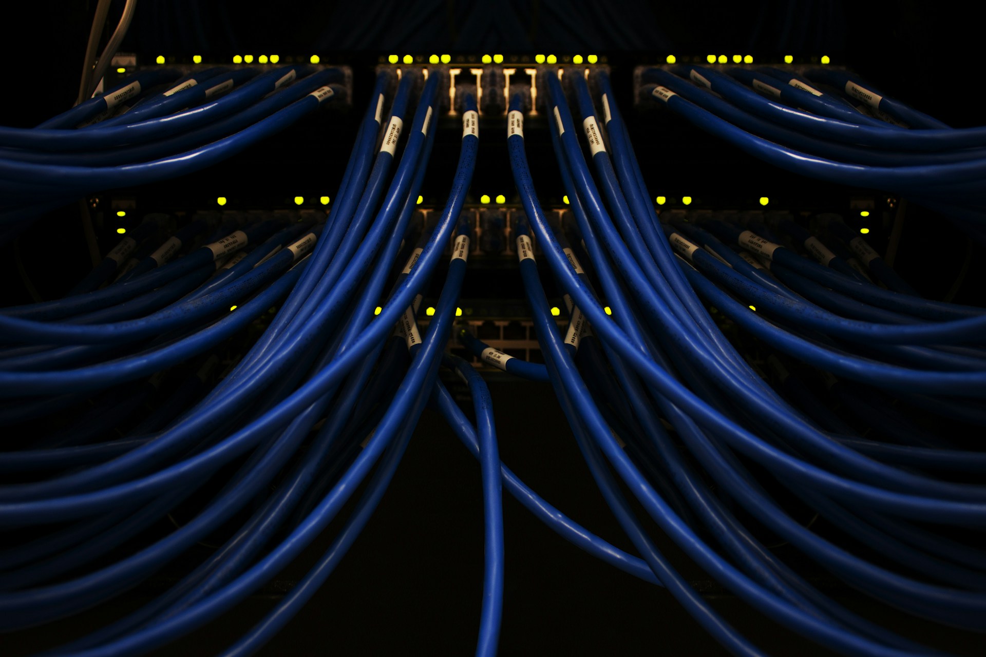 Close-up of multiple blue Ethernet cables plugged into a network switch with yellow indicator lights.