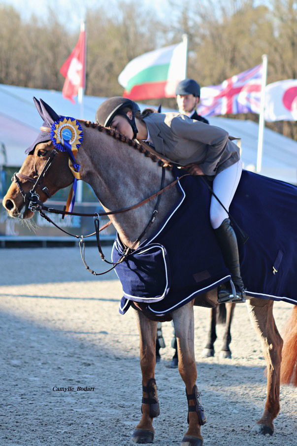 Review van Belgische topjumpster Robin Vermeir, die vertelt hoe ze dankzij STRIVE by INZICHT paardrijden op hoog niveau succesvol weet te combineren met haar examens voor de Examencommissie.