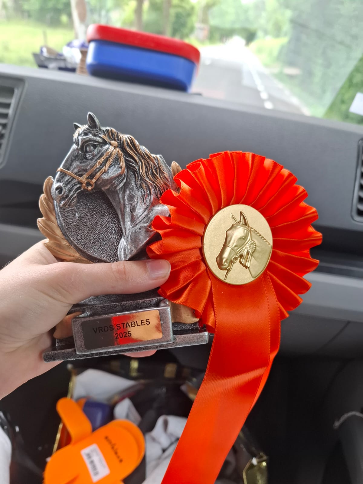 Review van topsport-ruiter Elise de Ketele over hoe de flexibele begeleiding van INZICHT haar nét dat extra steuntje in de rug geeft om haar diploma via de Examencommissie te behalen.