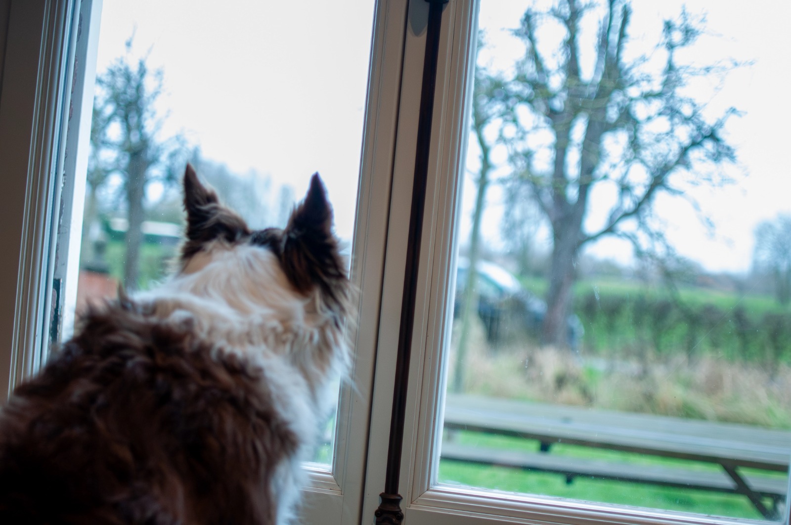 Review van INZICHT MAX student Lisa uit Antwerpen, die de warme community en het samen studeren voor de Examencommissie op onze boerderij in Drongen prijst.