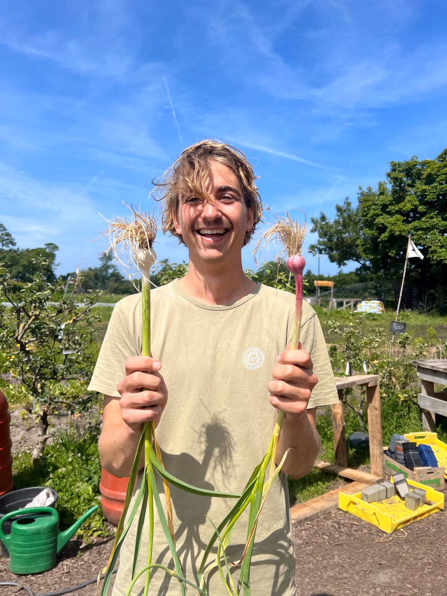 Grote kas met rijen groene planten onder een transparant dak en metalen ondersteunende palen.