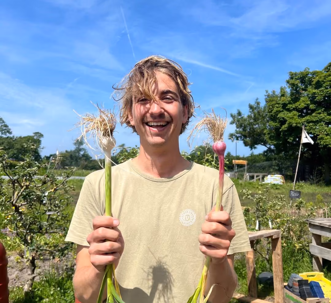 Grote kas met rijen groene planten onder een transparant dak en metalen ondersteunende palen.