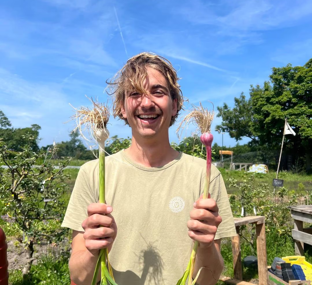 Grote kas met rijen groene planten onder een transparant dak en metalen ondersteunende palen.