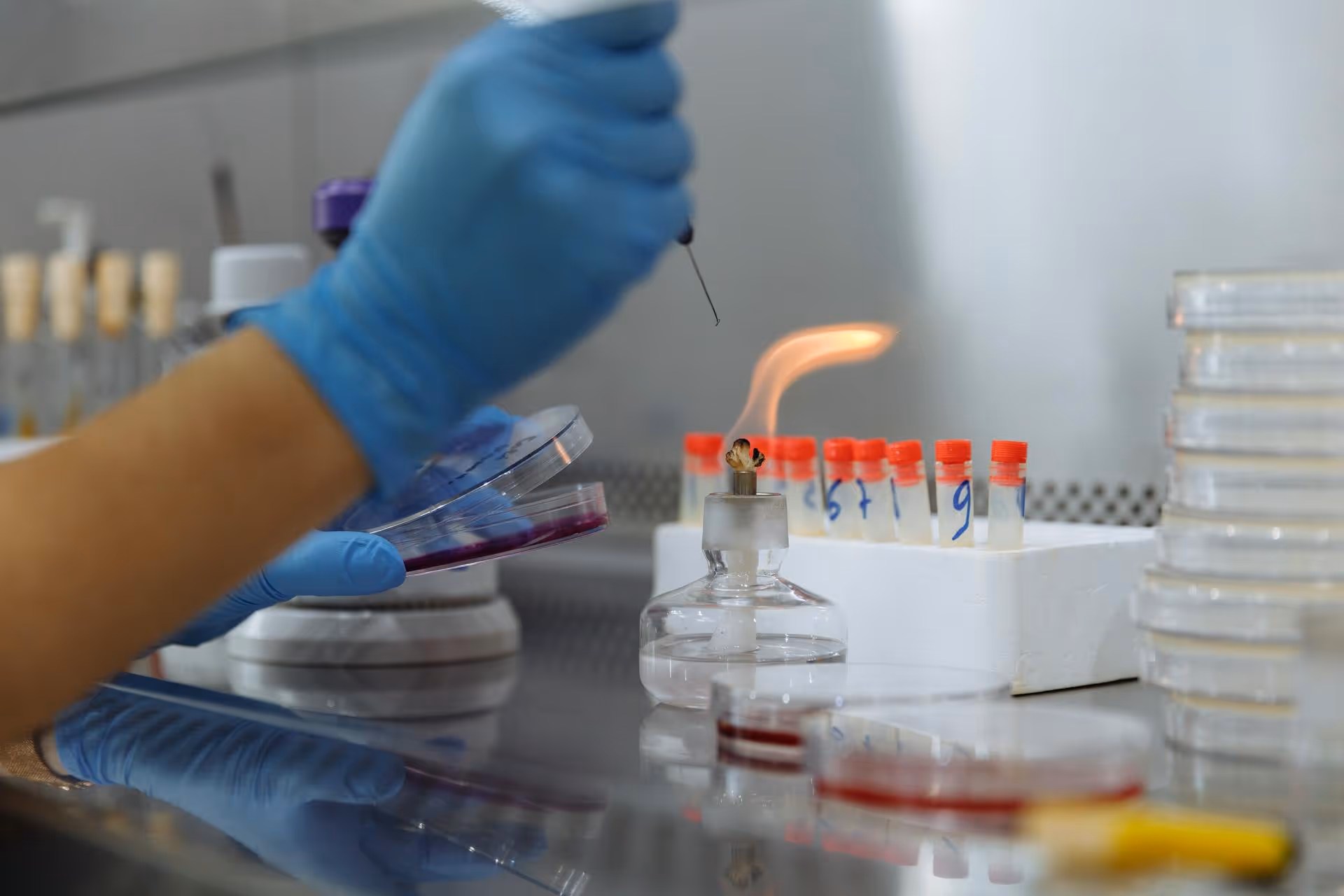 flammability testing iso 3795