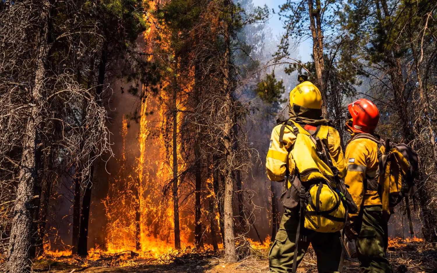 15 Prescribed Burn Best Practices Every Fire Investigator Should Know